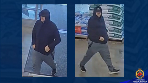 Suspect Sought in Series of Hamilton Robberies Suspect Sought in Series of Hamilton Robberies