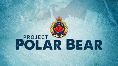 Project Polar Bear Disrupts Hamilton Auto Theft Ring