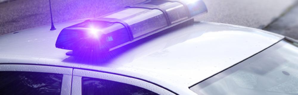 UPDATE: Investigation into Assault of Two Young Children