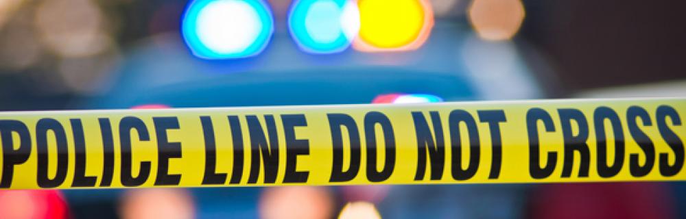 Update: Pedestrian has been Identified