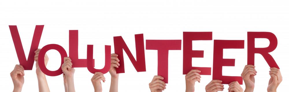 Media Release: Hamilton Police Service Recruiting Victim Services Branch Volunteers